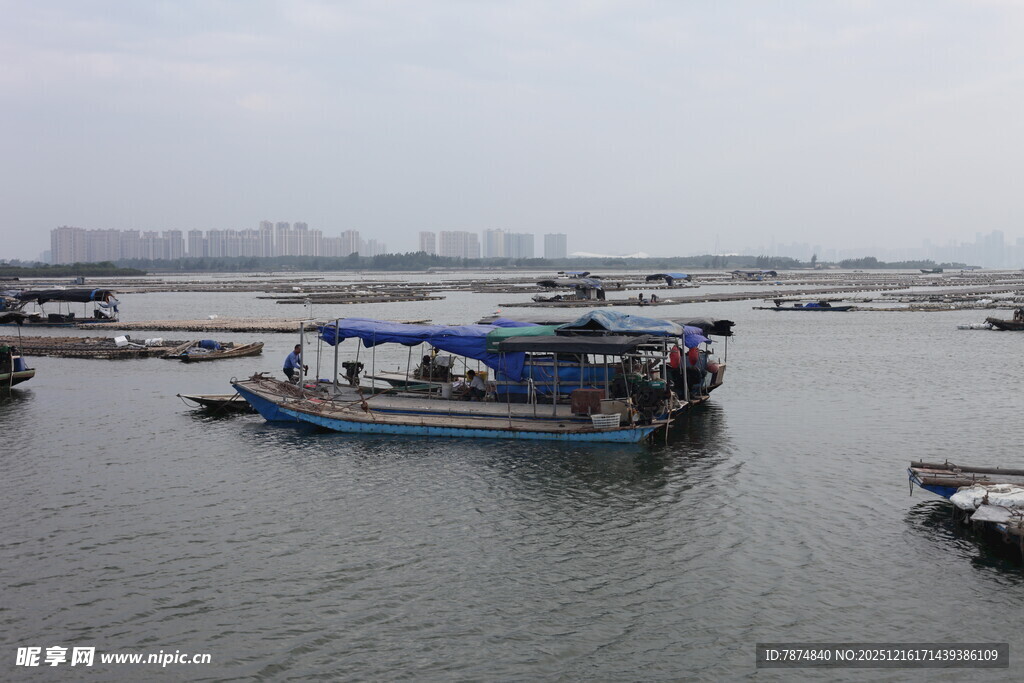 海上停泊的船只