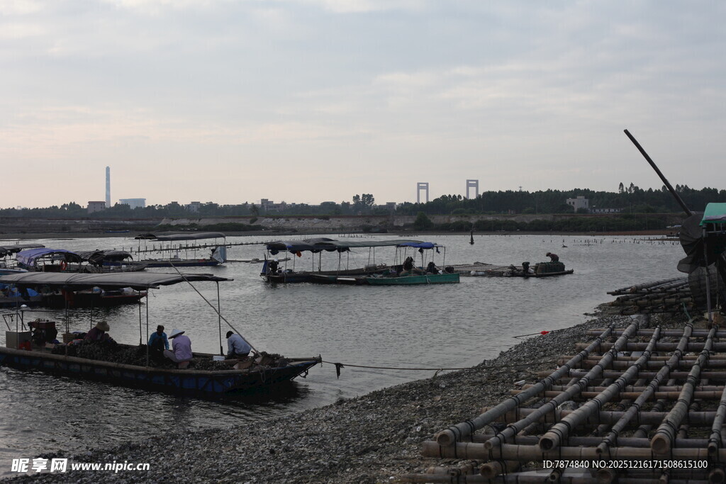 江边停泊的船只景象