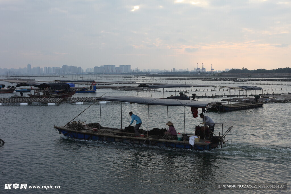 海上渔船行