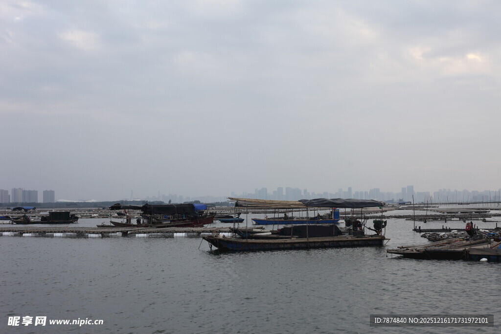 港口船只景象