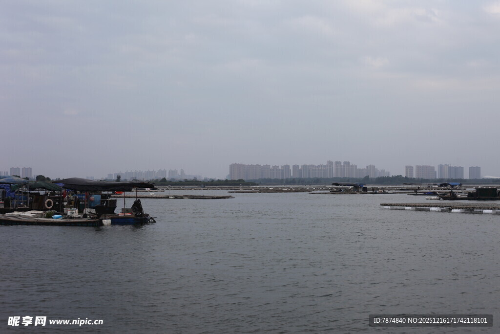 河畔风光 水面与远处建筑