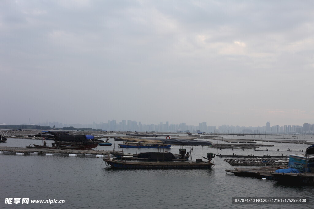 宁静港湾中的停泊船只