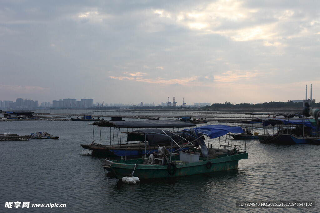 海港停泊船只景象