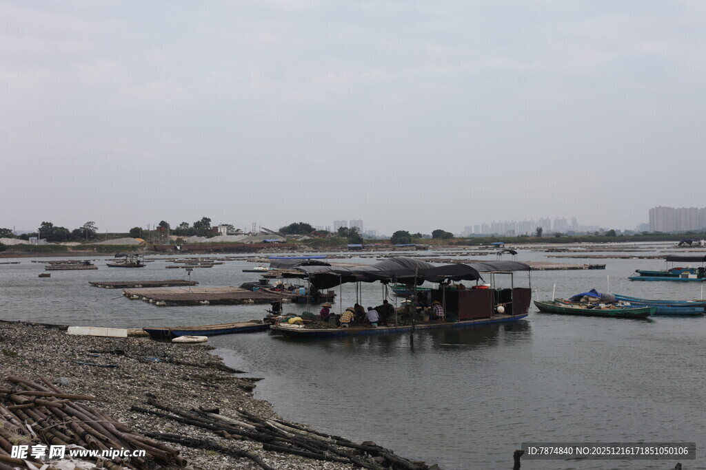河畔停泊船只的宁静景象