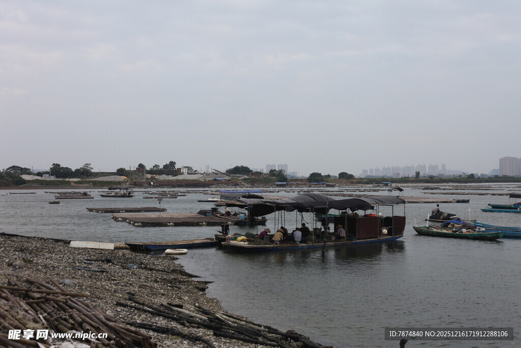 宁静水边停泊的船只景象