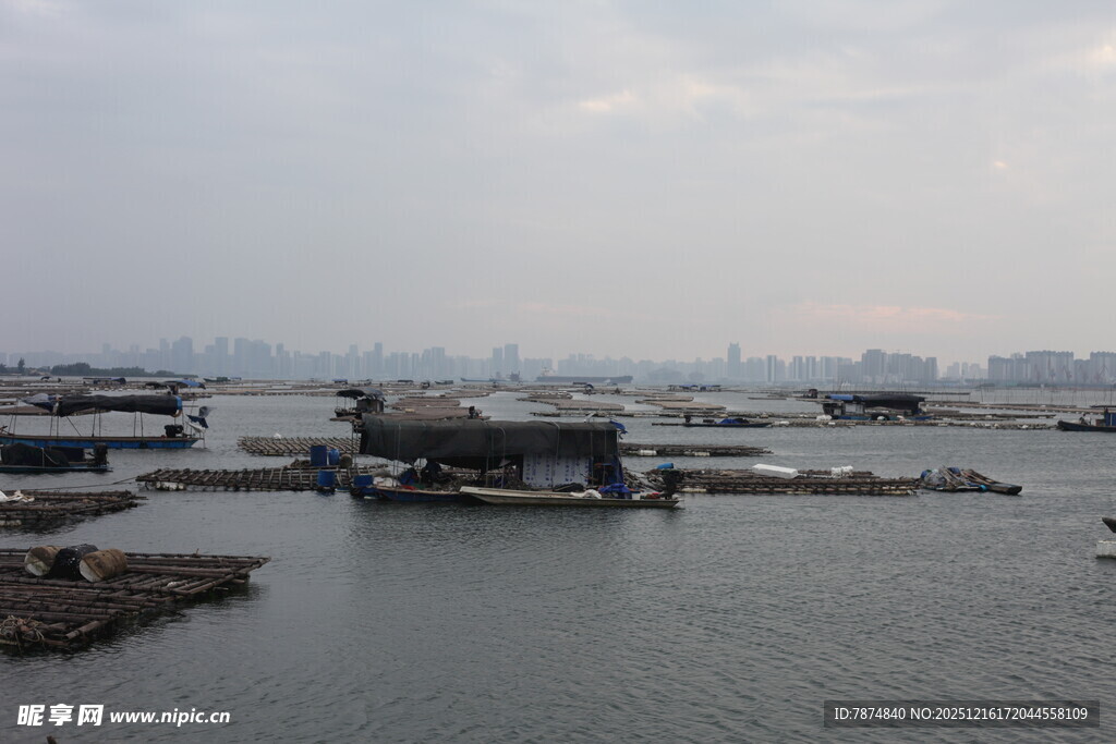 港口景象 船只停泊于码头