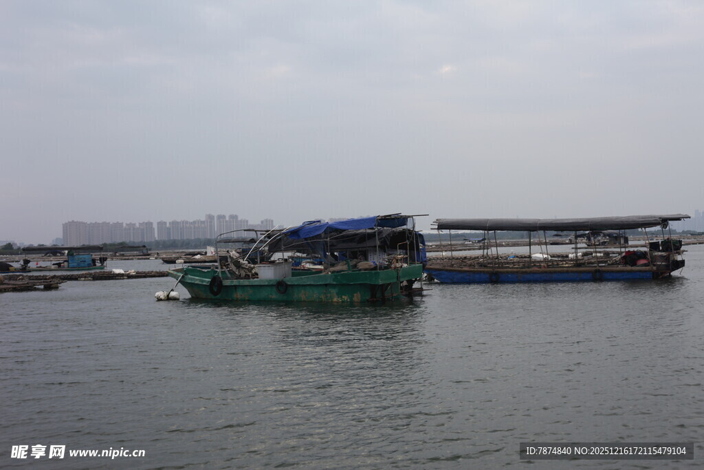 港口停泊的船只