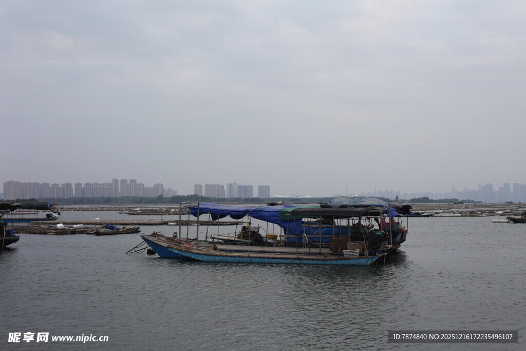 海上停泊的船只