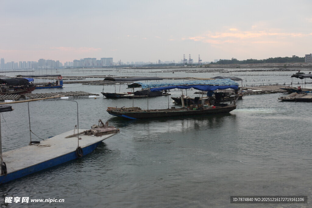宁静港湾中的停泊船只
