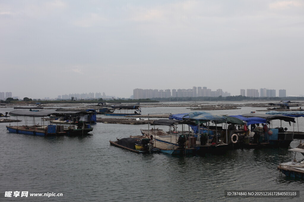 海上停泊的船只景观