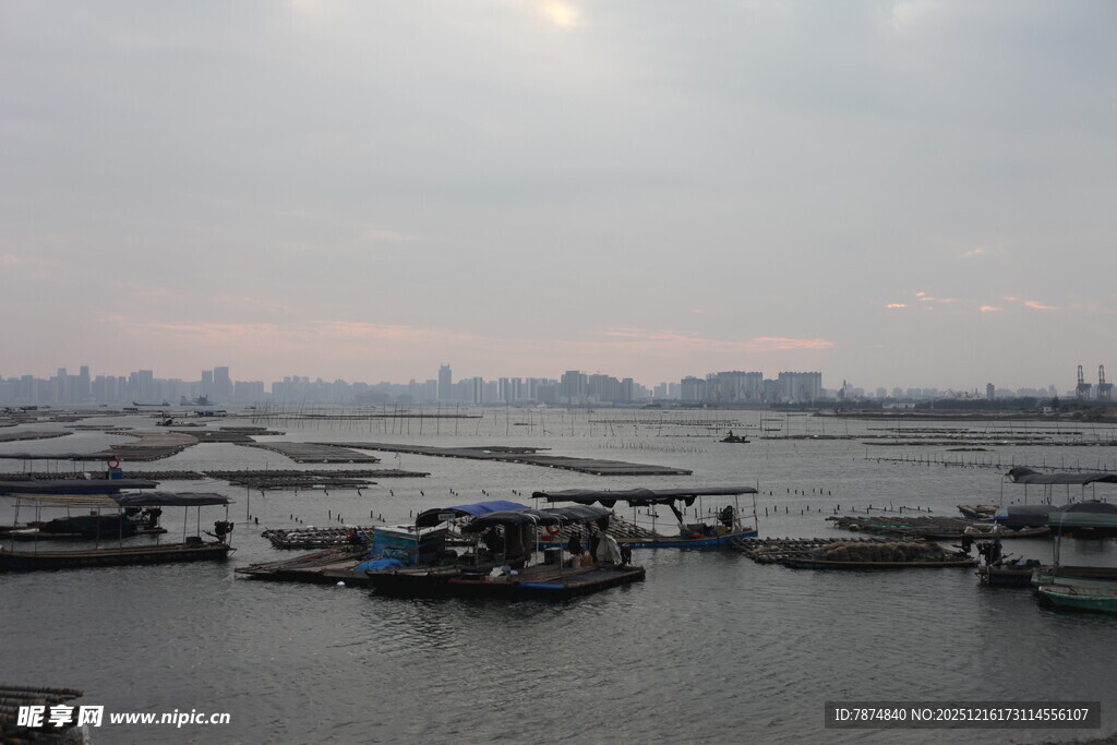 港口船只景观