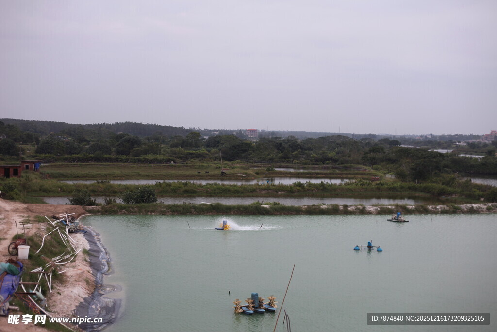 湖畔垂钓美景