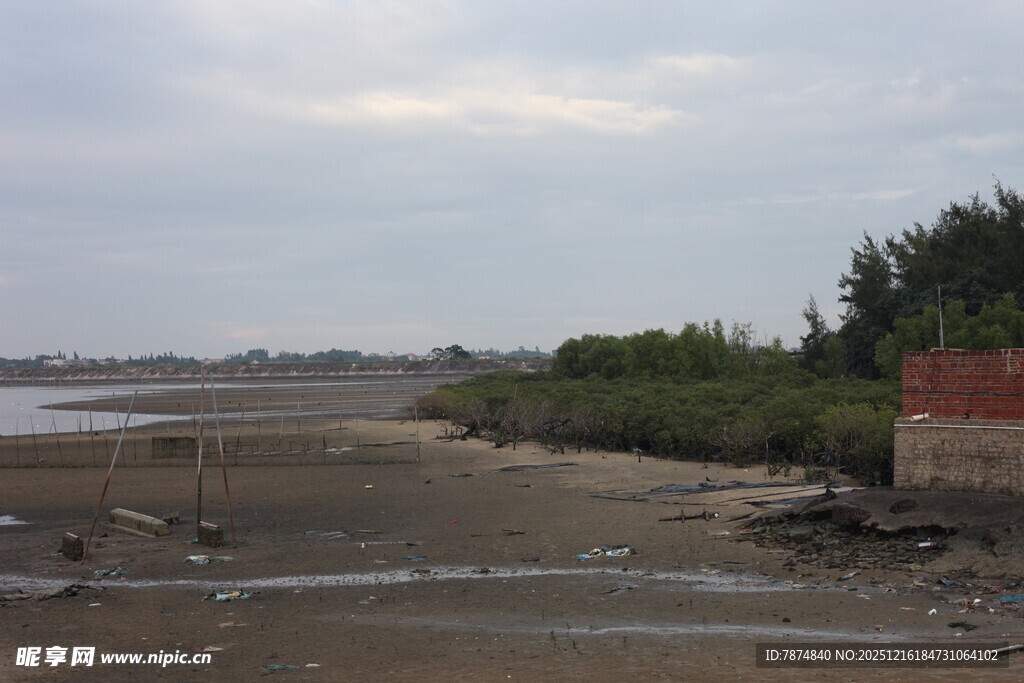 河岸风景
