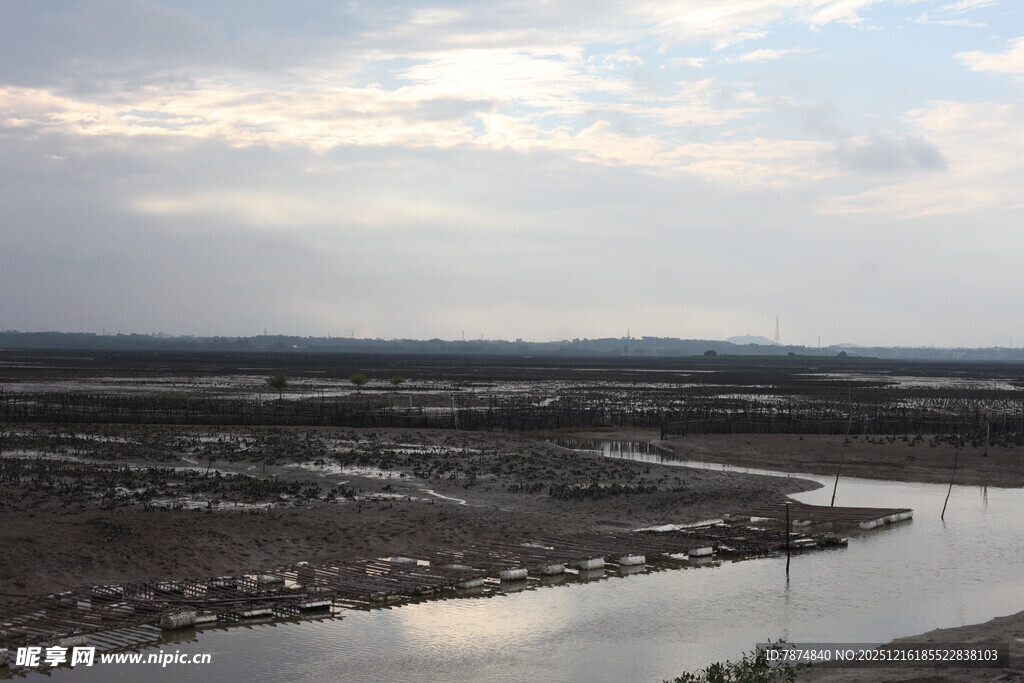 河畔风光 广袤大地景色