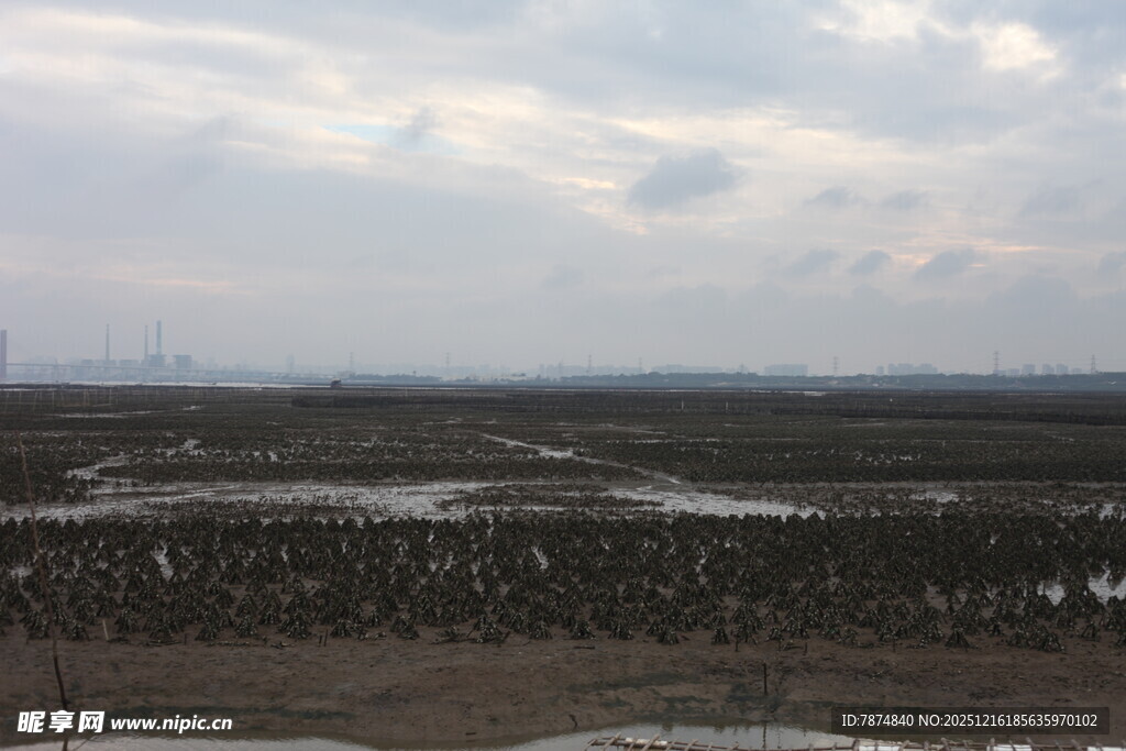 广阔田野景观