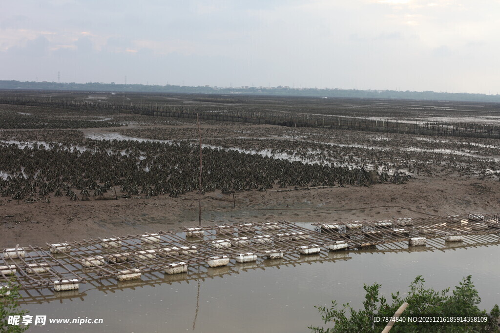 湿地景观中的船只与滩涂