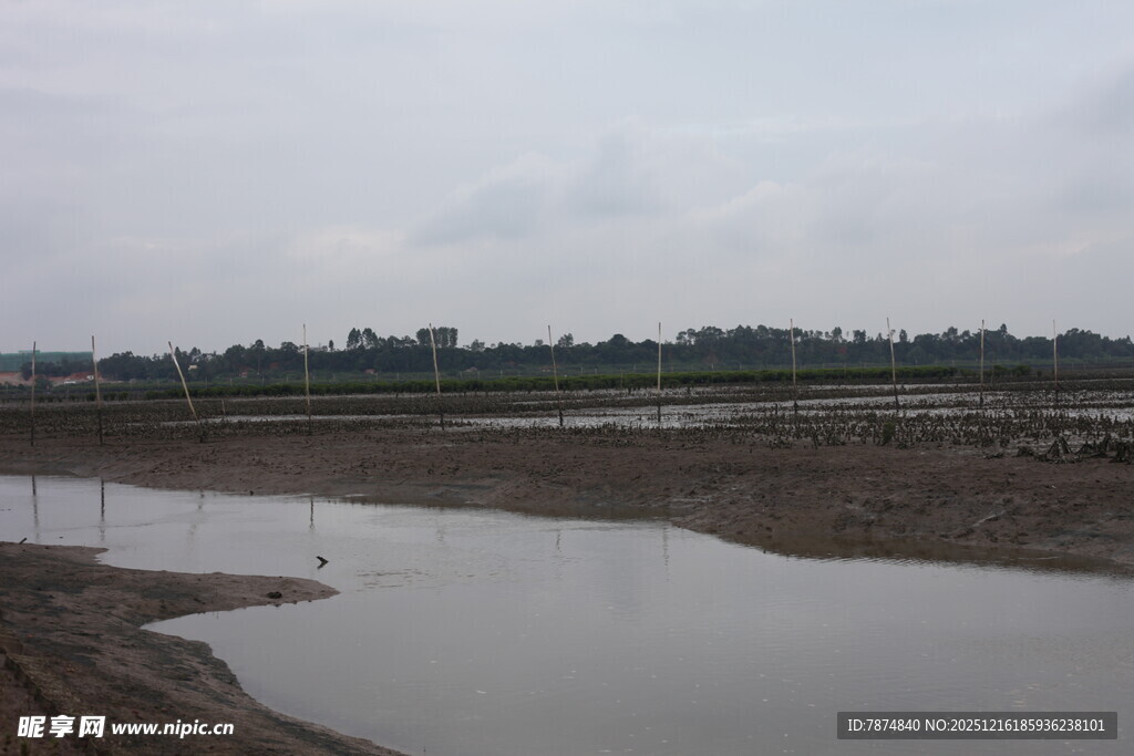 湿地景观 水域与开阔田野