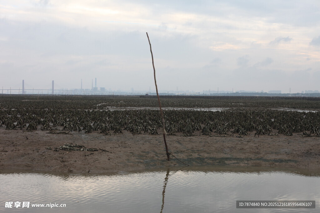 海边滩涂倒影景象