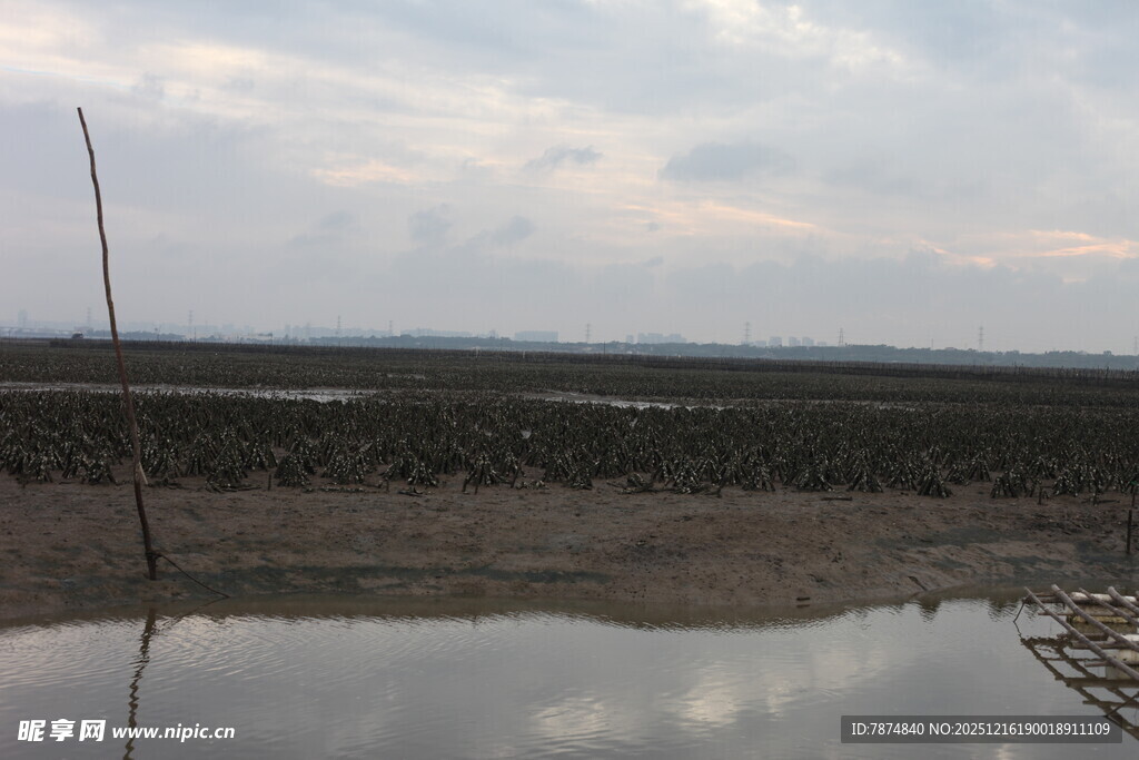 海边滩涂水域风景