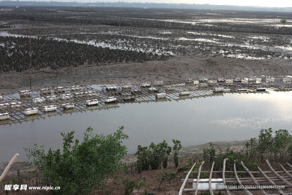 海边渔村停泊众多船只
