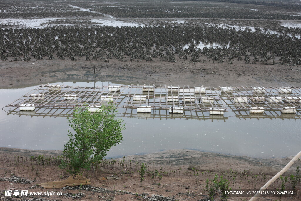 湖畔码头建筑群景观