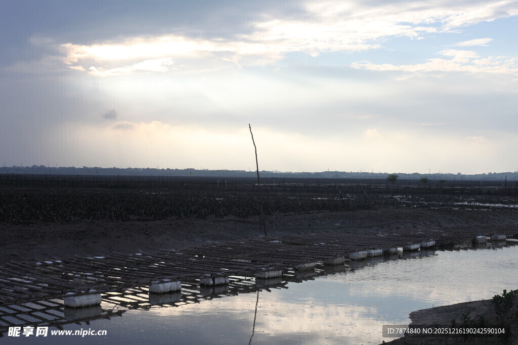 河畔风车与开阔景致