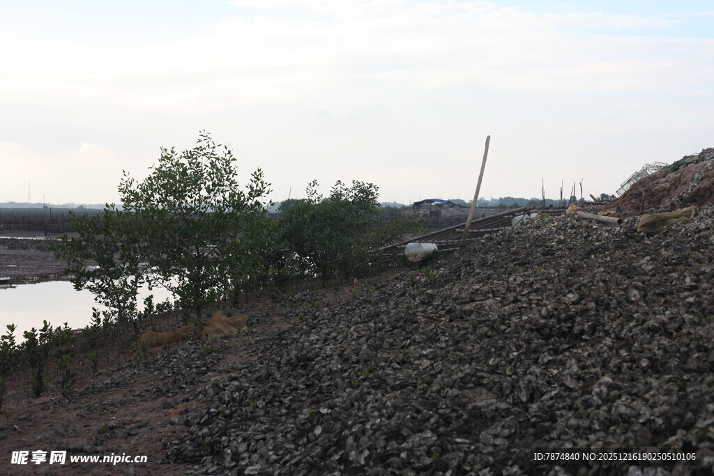 河岸碎石与绿树景观