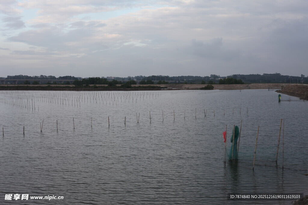 宁静水域的浮标景观