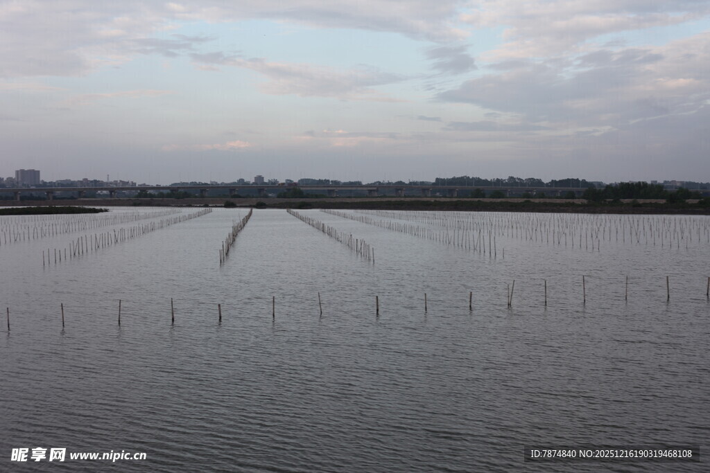 水域养殖场景