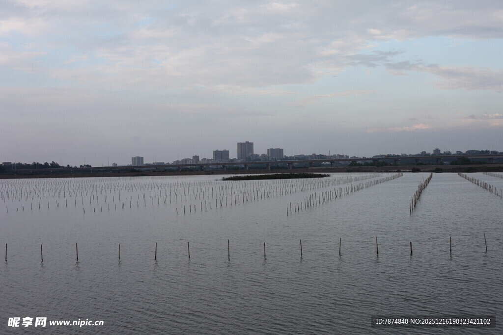 湖畔城市远景 水域风光