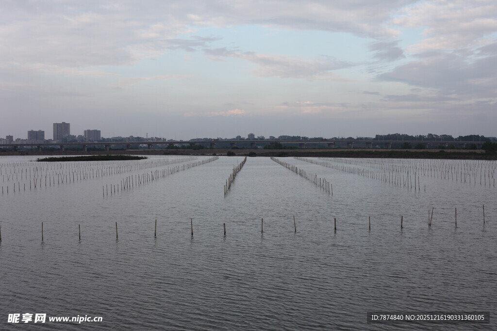 河畔风景水面与远处城市