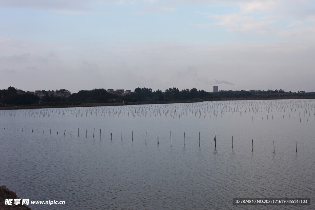 平静湖面与远处林立木桩