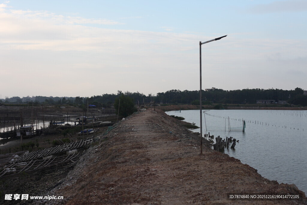 湖畔土路 静谧自然风光