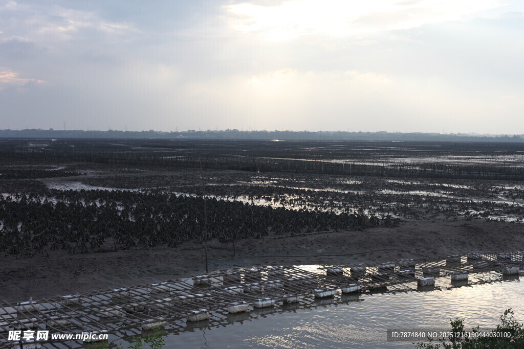 俯瞰城市湿地景观
