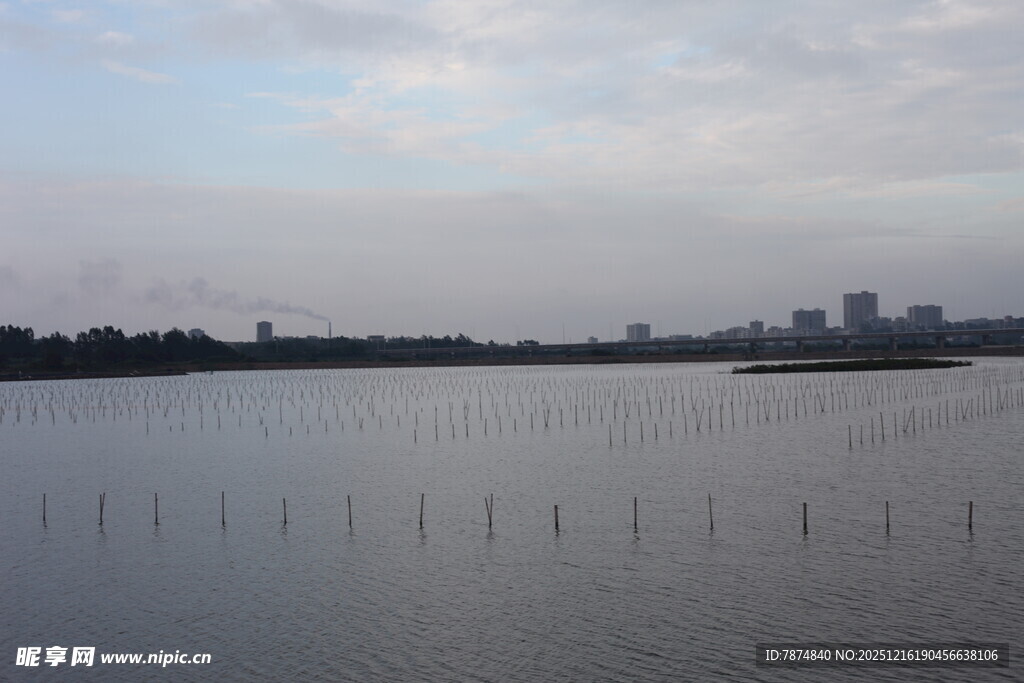 湖畔远景 城市与水域相映