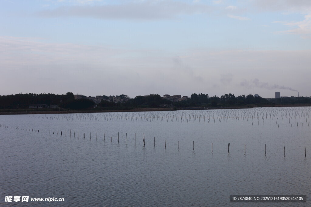 宁静湖面与远处树木景观
