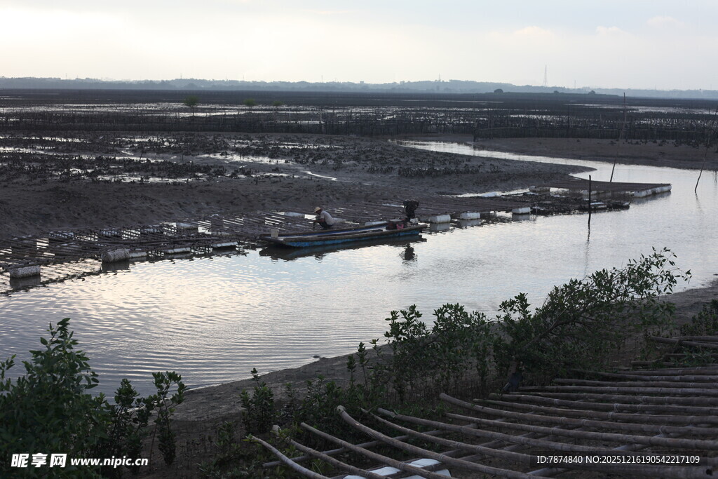 俯瞰河畔建筑景观