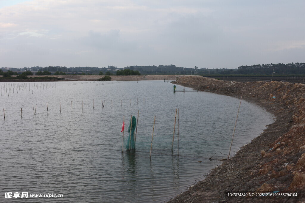 池塘边的垂钓场景