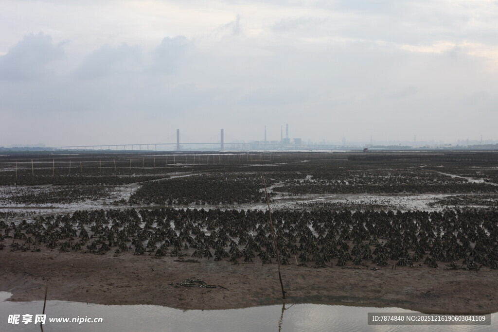 滩涂风光 湿地养殖景象