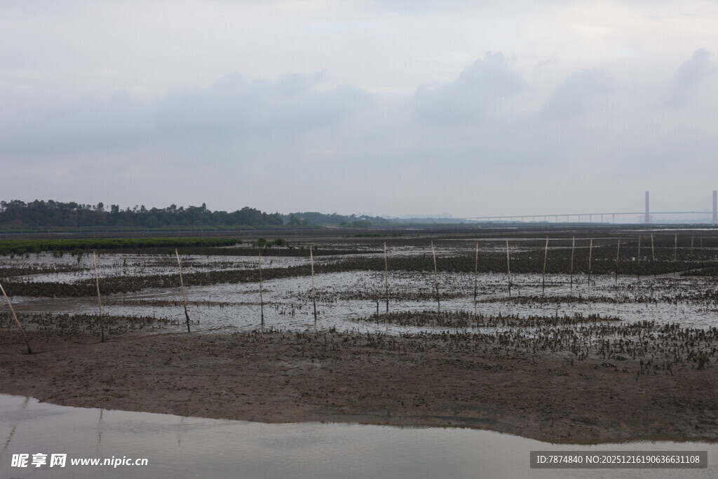 湿地景观 广袤滩涂远景