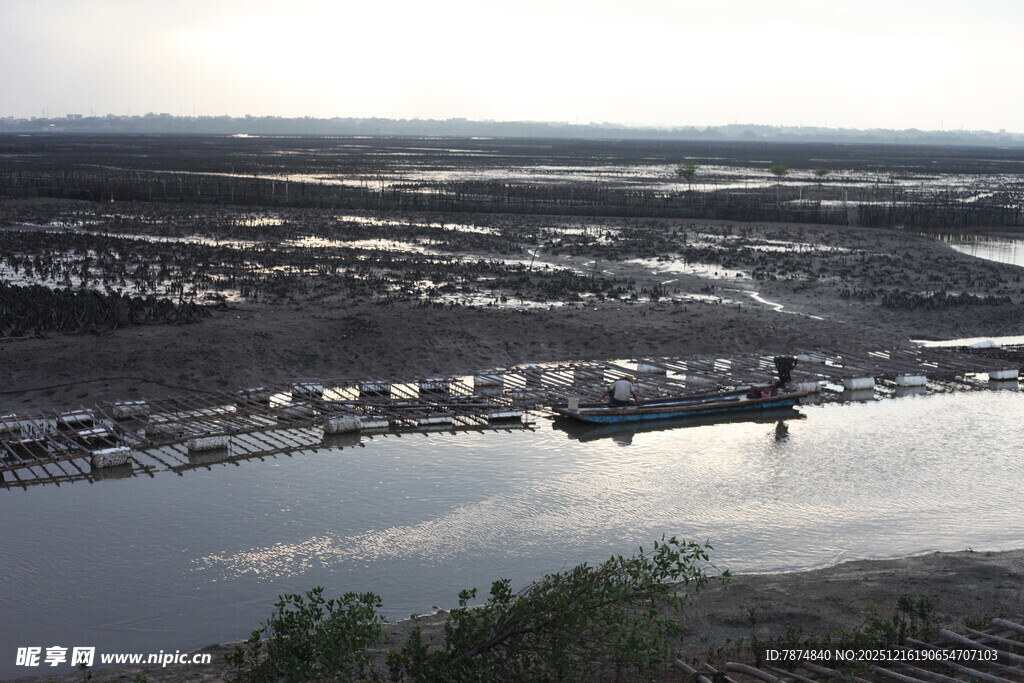 湿地风光 一人独赏美景