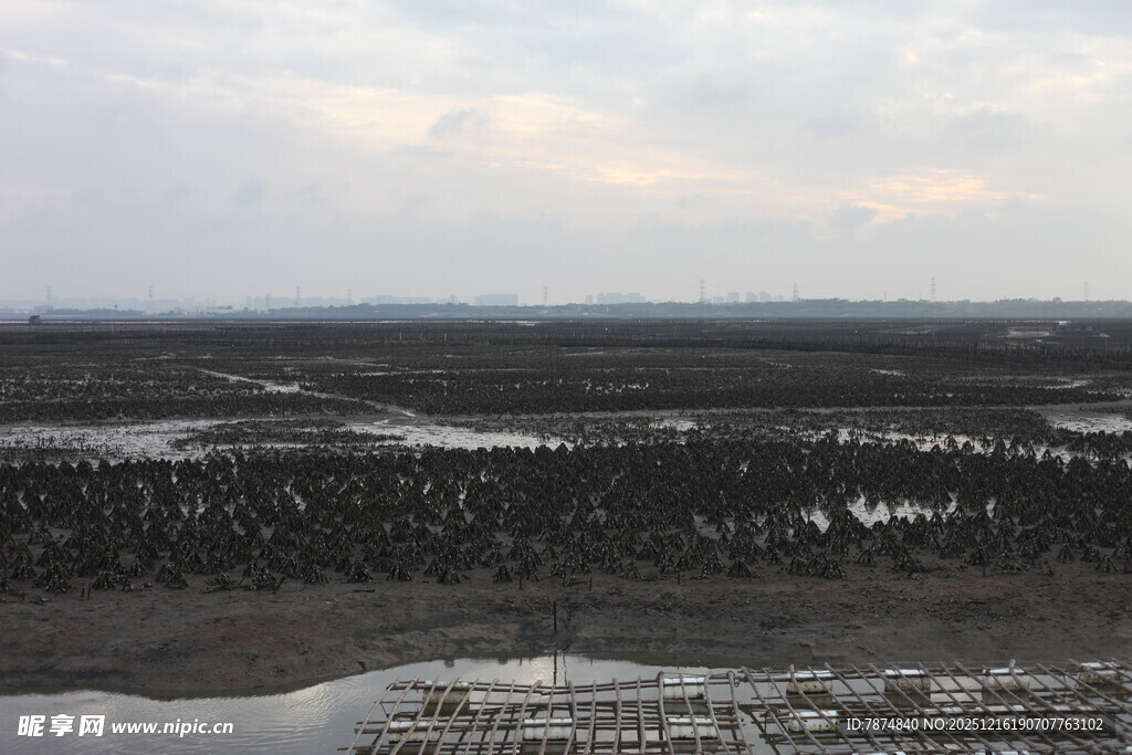 俯瞰广袤湿地与天际线
