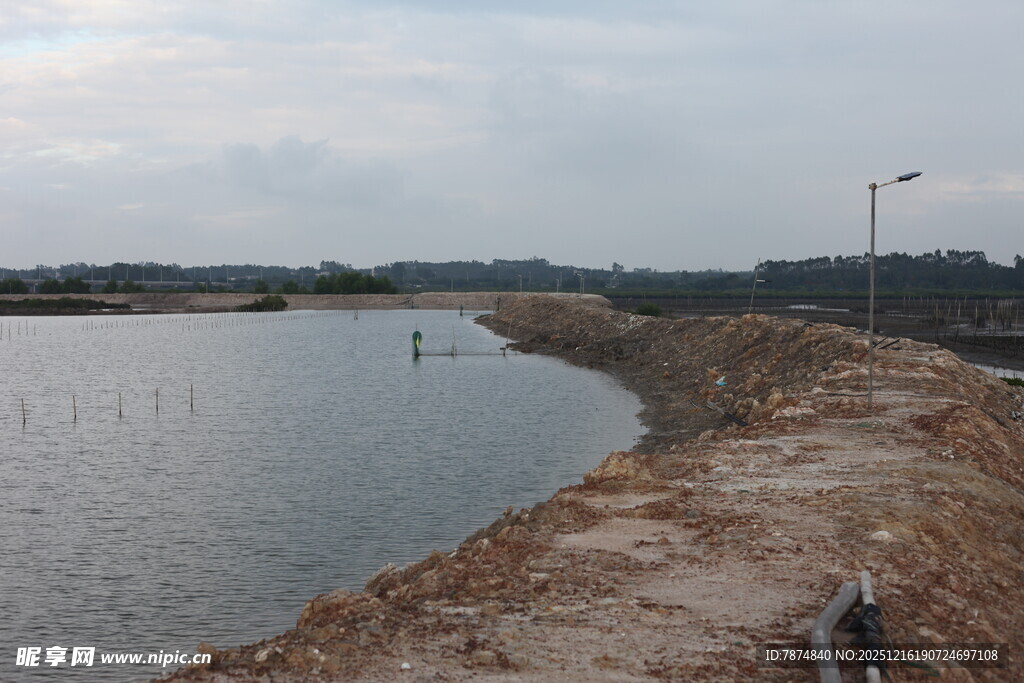 乡村水域旁的土堤景象