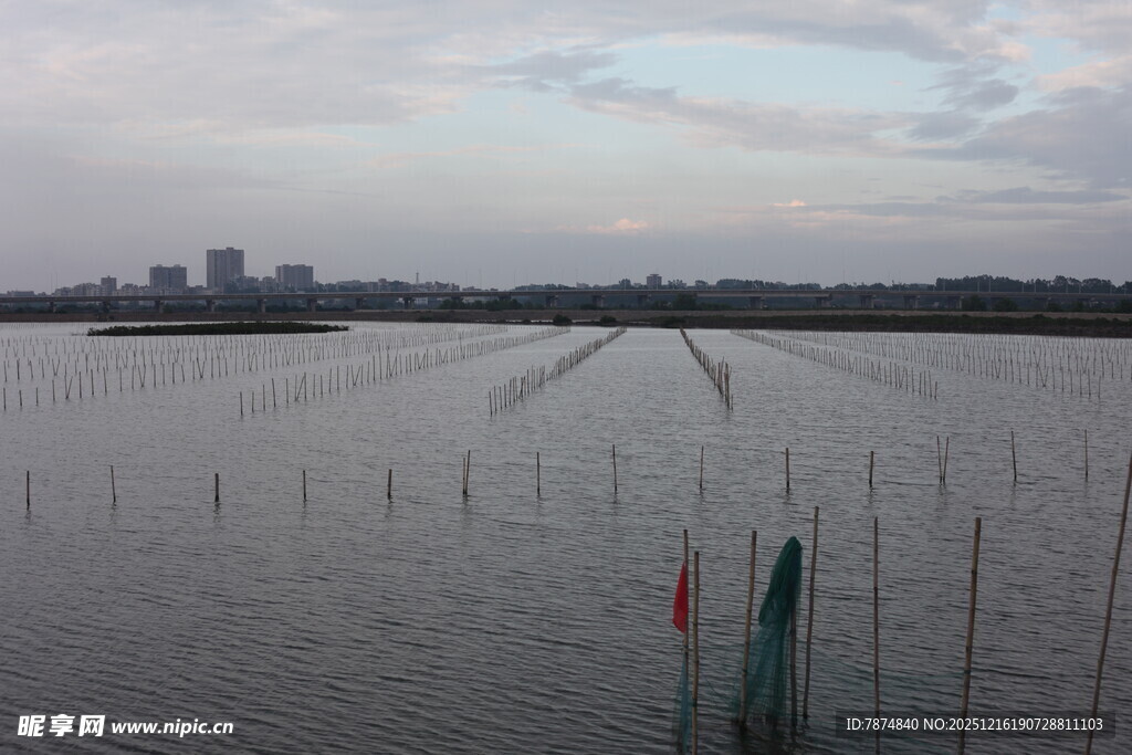 江边景致 水面与远处建筑