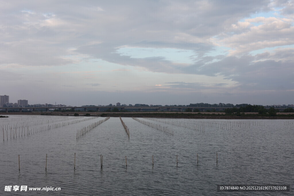 水田风光 天际云霞相映