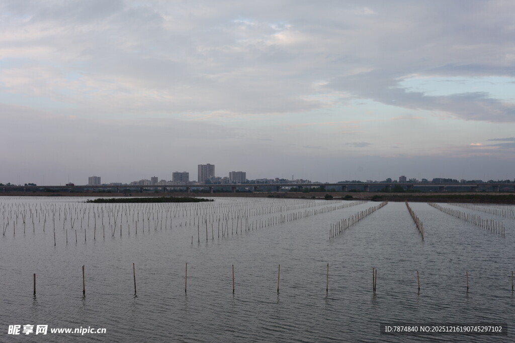 水域风光与远处城市景观