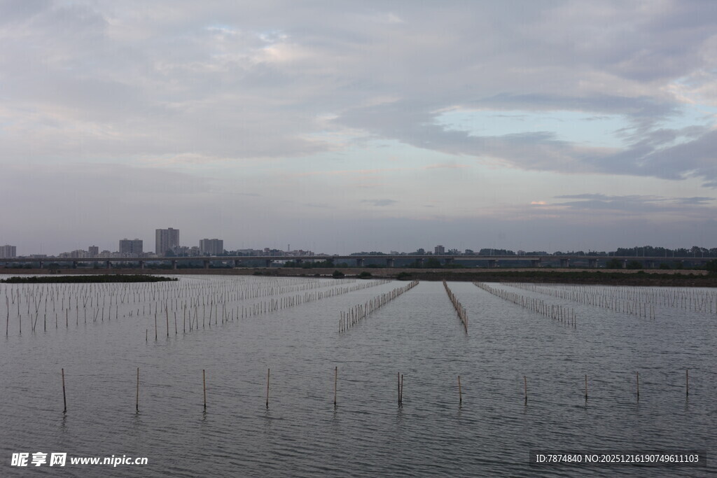 湖畔远景 水域与城市天际线