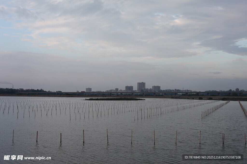 广阔水域与远处城市景象