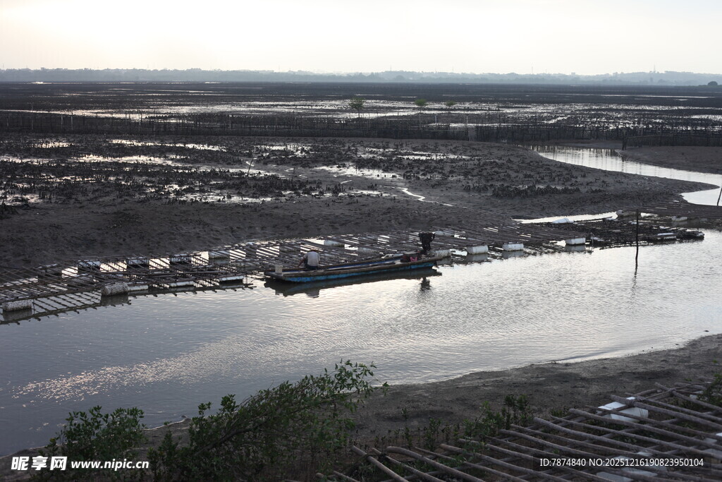 黄昏下的湿地景观