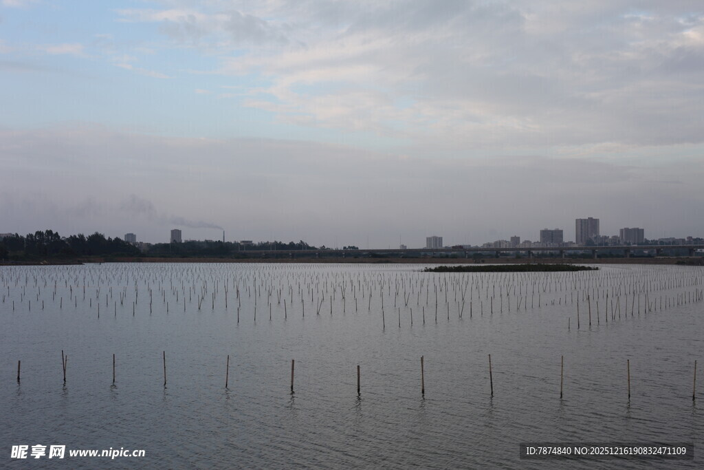 黄昏下的宁静水域景观